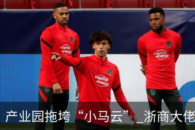 产业园拖垮“小马云” 浙商大佬被立案侦查