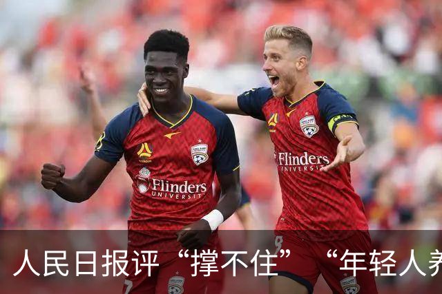 人民日报评“撑不住”“年轻人养不起老人了”等论调