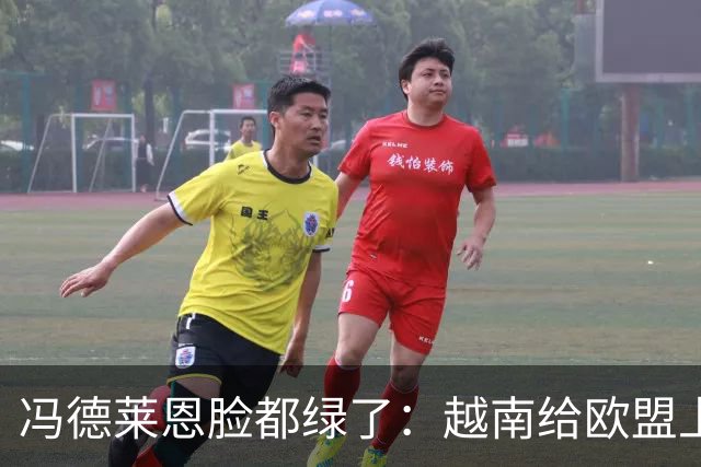 冯德莱恩脸都绿了：越南给欧盟上了一课：什么叫 “中国力量”！