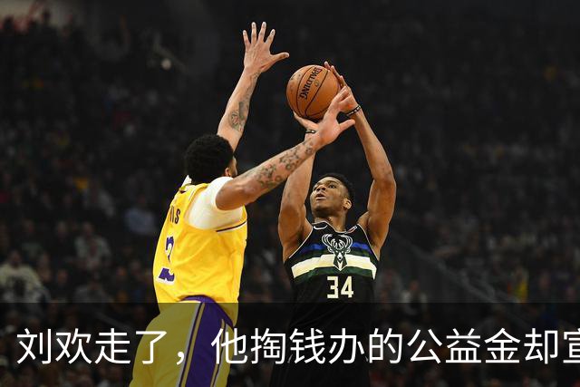 刘欢走了，他掏钱办的公益金却宣布：一切都不变