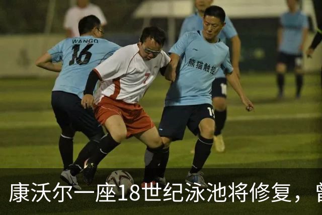 康沃尔一座18世纪泳池将修复，曾因落叶淤泥失去游泳功能
