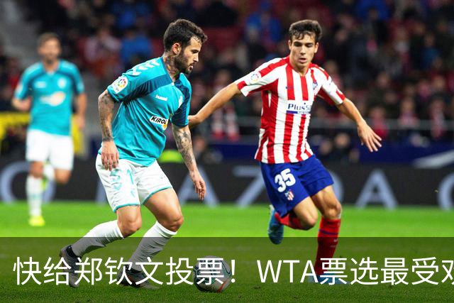 快给郑钦文投票！WTA票选最受欢迎1000赛夺冠表现，郑钦文暂列第2