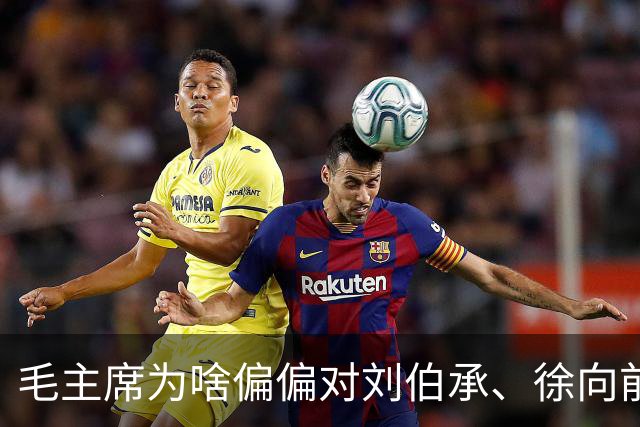 毛主席为啥偏偏对刘伯承、徐向前，嘴下留情，一个不忍说，一个没得说