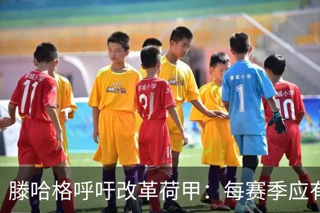 滕哈格呼吁改革荷甲：每赛季应有3队直接降级、3队直接升级