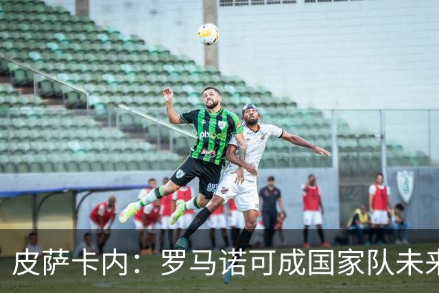 皮萨卡内：罗马诺可成国家队未来