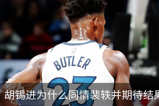 胡锡进为什么同情裴轶并期待结果反转？