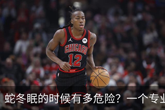 蛇冬眠的时候有多危险？一个专业捕蛇人坦言：90% 的人根本想不到，蛇进入冬眠，它就可能变成老鼠的一顿大餐