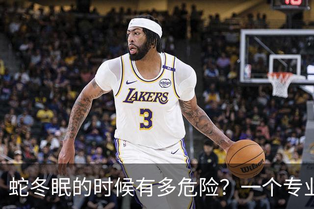 蛇冬眠的时候有多危险？一个专业捕蛇人坦言：90% 的人根本想不到，蛇进入冬眠，它就可能变成老鼠的一顿大餐