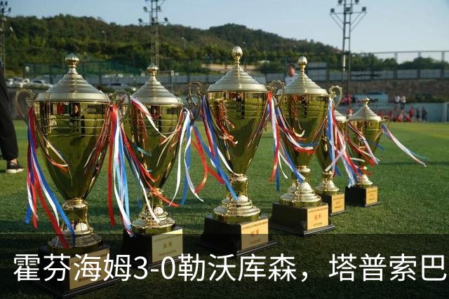 霍芬海姆3-0勒沃库森，塔普索巴送点，克拉马里奇传射建功
