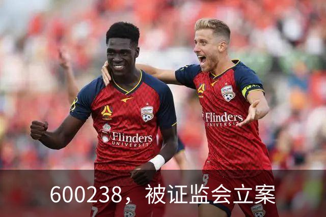 600238，被证监会立案